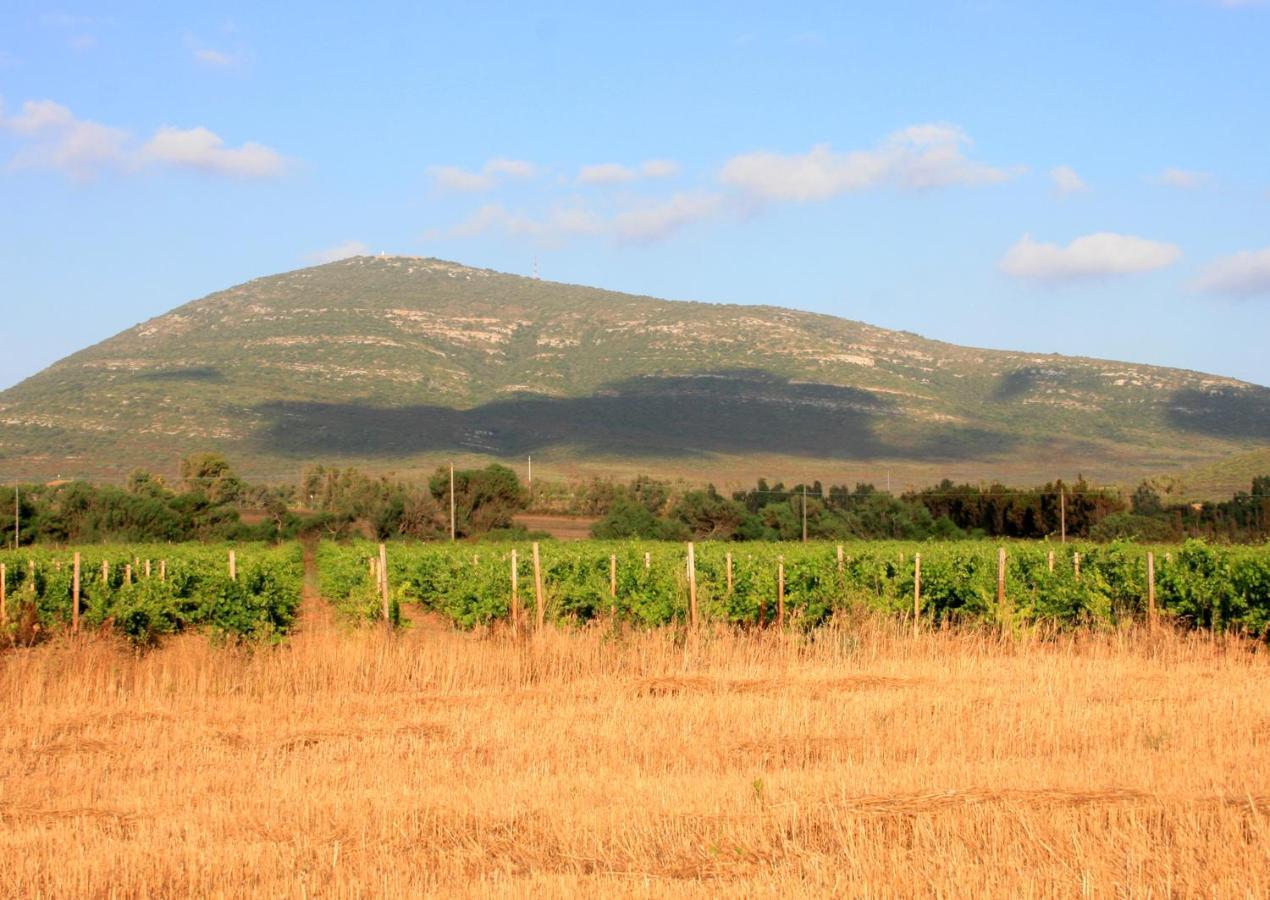 Agriturismo Da Pina 포르토 콘테 외부 사진