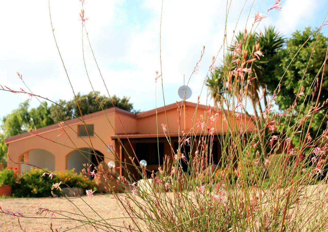 Agriturismo Da Pina 포르토 콘테 외부 사진